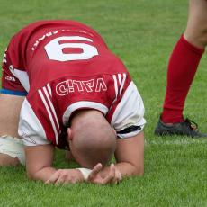 Mladý přírodovědec na Podvinném Mlýně nezapřel zaměření svého koníčka. Má rád trávu