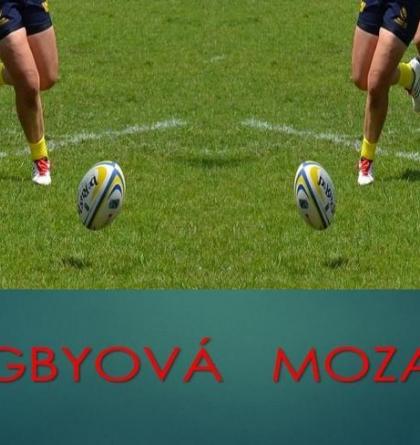 Je současné  ragby  ze všech hledisek nejnáročnějším kolektivním sportem  na světě? Ano!